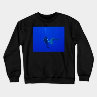 Formal Introductions With An Oceanic White Tip Shark Crewneck Sweatshirt